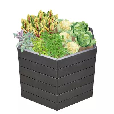 GARANTIA ERGO Hochbeet Stony L 75