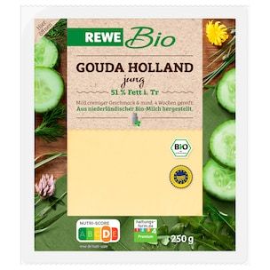 REWE Bio Gouda Holland jung 250g