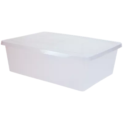 Plastový úložný box s víkem Iris