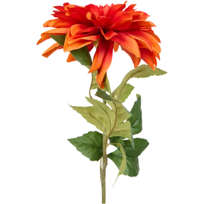 Umělá jiřina Seasons & Style