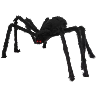 Halloweenský pavouk