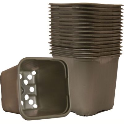 Dyrkningspotter, 8 x 8 cm