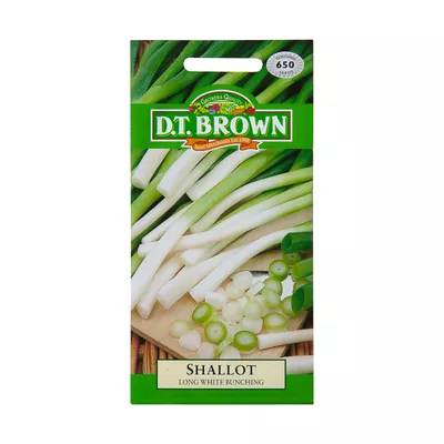 Dt Brown Shallot Seeds 650pc