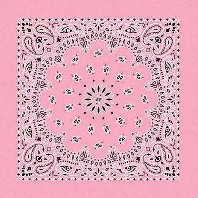 Carolina Creative Products Hav-A-Hank Paisley Handkerchief/Bandana, 22 x 22in.