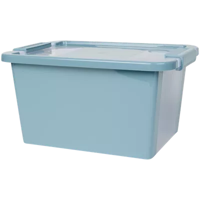 Úložný box Curver
