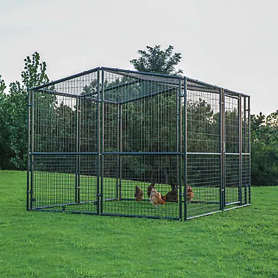 Producer's Pride 8 x 8ft. Universal Poultry Pen, 24 Chicken Capacity