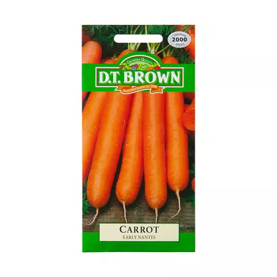 Dt Brown Early Nantes Carrot Seeds 2000pc
