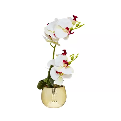 Faux Orchid In Gold Pot White/Pink