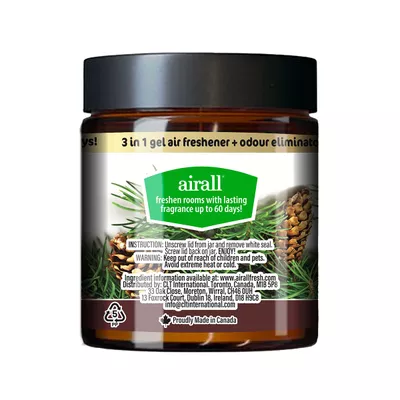 Airall Solid Air Freshener Evergreen 226g