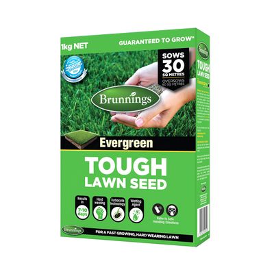 Brunnings Tough Lawn Seed 1kg