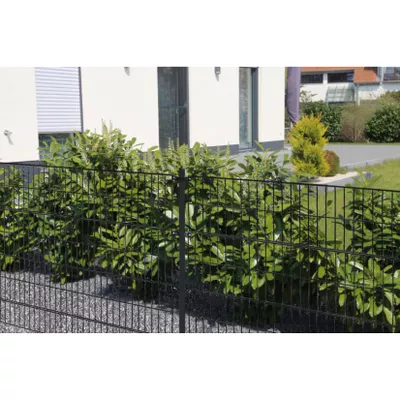 Home Deluxe Doppelstabmattenzaun anthrazit 800 mm x 10 m