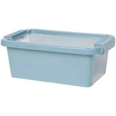 Úložný box Curver