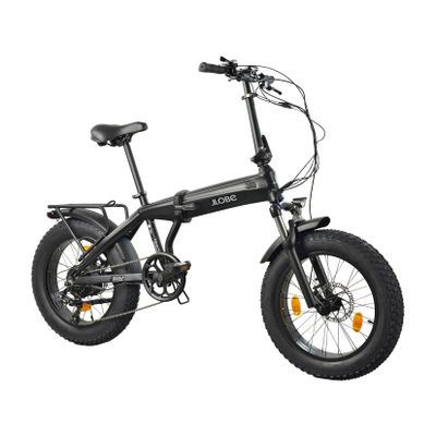 LLobe Robust Pro Falt E-Fatbike 20"