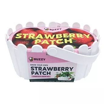 Buzzy Seeds Garden Basket Grow Kit