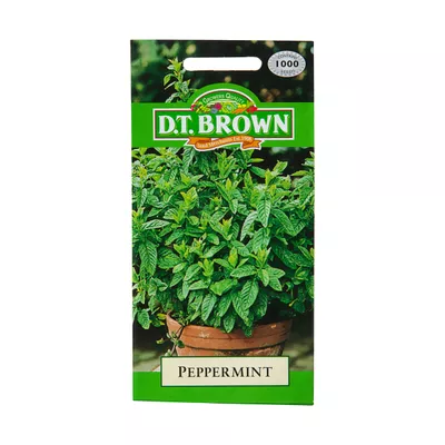 Dt Brown Peppermint Seeds 1000pc