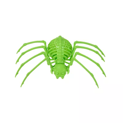 Halloween Coloured Spider Skeleton Assorted