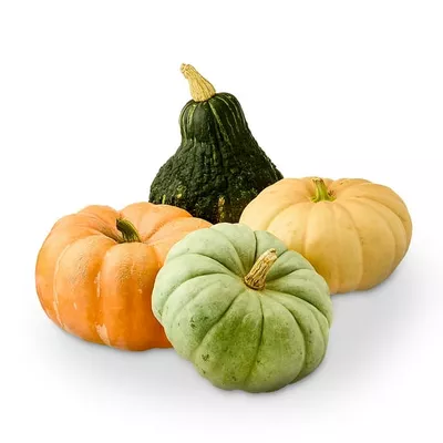 Fresh Large Heirloom Pumpkin, Whole, Each (Color and Variety May Vary)