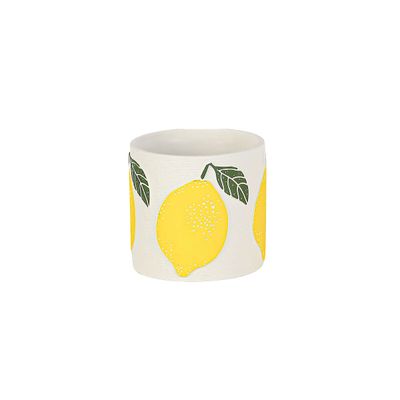 Cement Pot With Lemon Design S