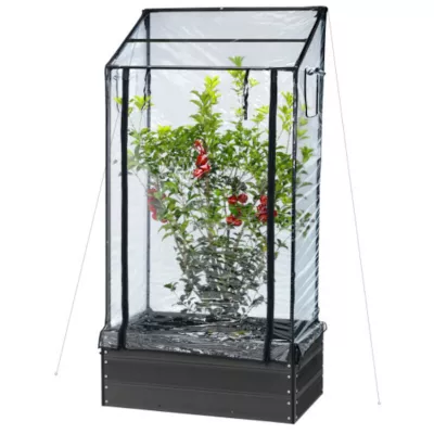 Hortus, Minidrivhus t/kapilærkasse, 87x47x150 cm