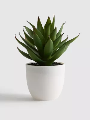 Arreglo vegetal de suculenta artificial en maceta