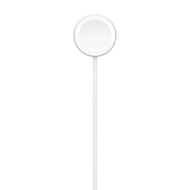 Apple Cavo magnetico USB-C per la ricarica rapida ...