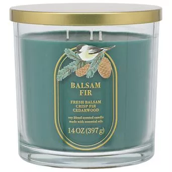 Sonoma Goods For Life® 14-oz. Balsam Fir Single Pour Candle Jar