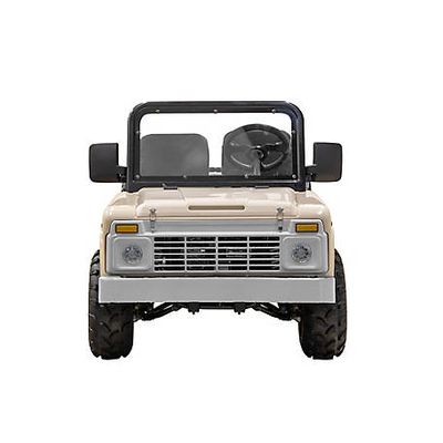 New! Massimo Mini Truck