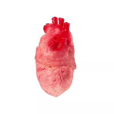 Halloween Brain and Heart Assorted