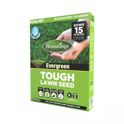 Brunnings Tough Lawn Seed 500g