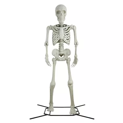 Steve the Poseable 10' Skeleton Decoration by Way To Celebrate