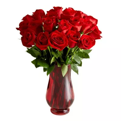 1800 Flowers - Rose Bouquet: 24 Red Roses with Red Vase, Decorative