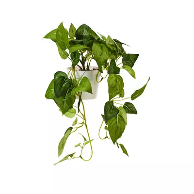 Riviera Faux Hanging Leaf/Floral in White Pot