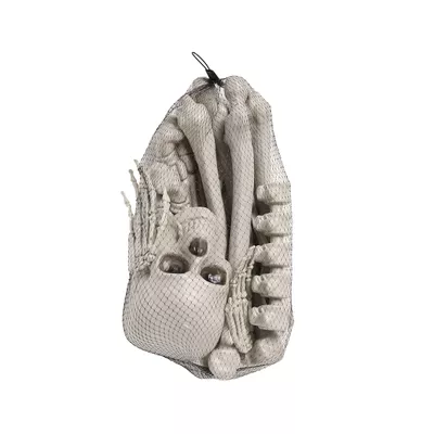 Halloween Bag of Bones