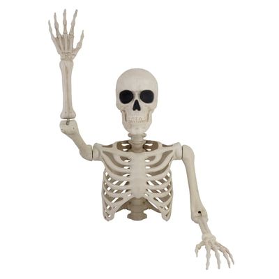Skeleton Groundbreaker Decoration, Ivory, 46