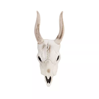 Halloween Animal Skull