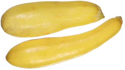 Yellow Squash