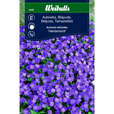 Blomsterfrø, Blåpude, Hendersonii