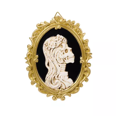 Halloween Skeleton In Frame Plaque Assorted