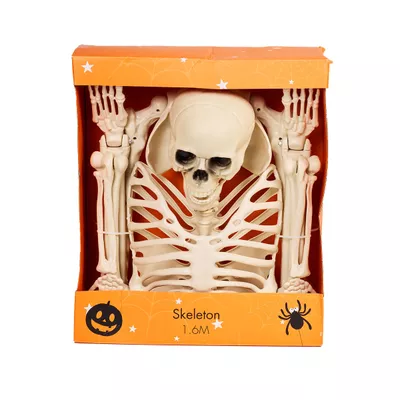 Halloween Skeleton Large 1.6m