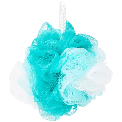 Mycí houba