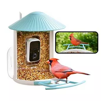 Birdfy Smart Bird Feeder Lite with Camera