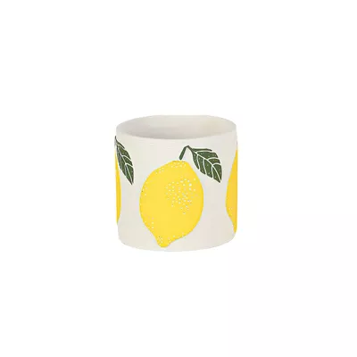 Cement Pot With Lemon Design M