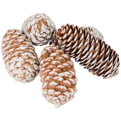 Dekorační mix