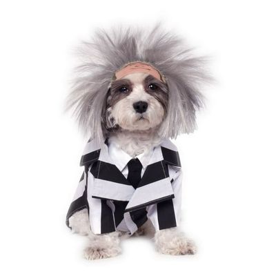 Beetlejuice Pet Costume White