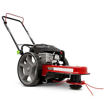 Earthquake 22 in. Gas-Powered Walk-Behind String Mower, 160cc Viper Engine