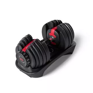 BOWFLEX BowFlex SelectTech 552i Dumbbells (SINGOLO)