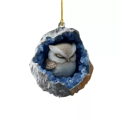 Zhourta Sleeping Owl in the Crystal 3Inch 2D Acrylic Animal Ornament Hanging Christmas Tree Car Decoration