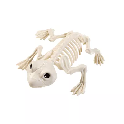 Halloween Skeleton Animal Assorted
