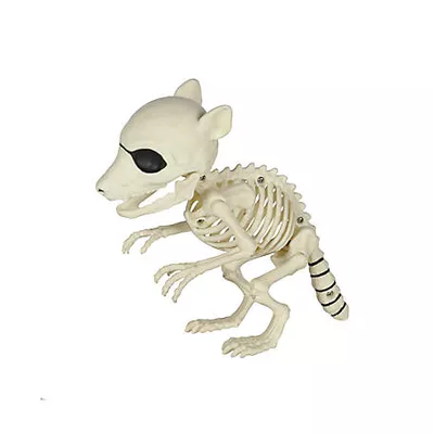 New!  Red Shed Baby Raccoon Skeleton