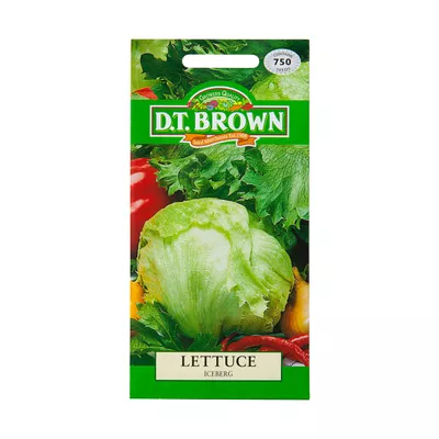 Dt Brown Iceberg Lettuce Seeds 750pc